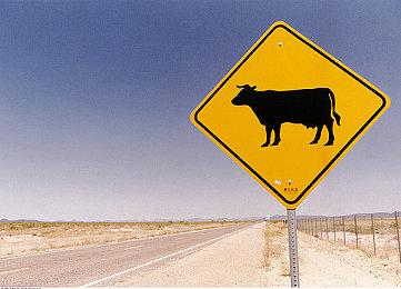 预告 | 3A级VR大作《After the Fall》即将登陆奇遇VR